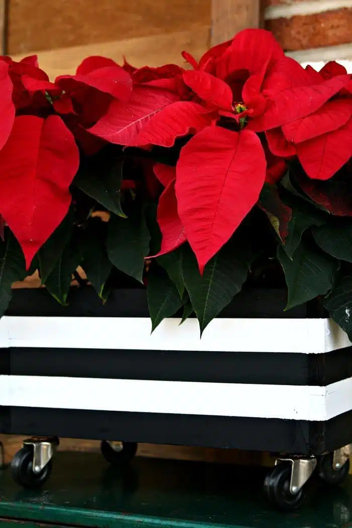 painted wood planter with black and white stripes