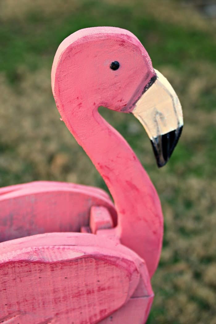 How about a coral color pink flamingo
