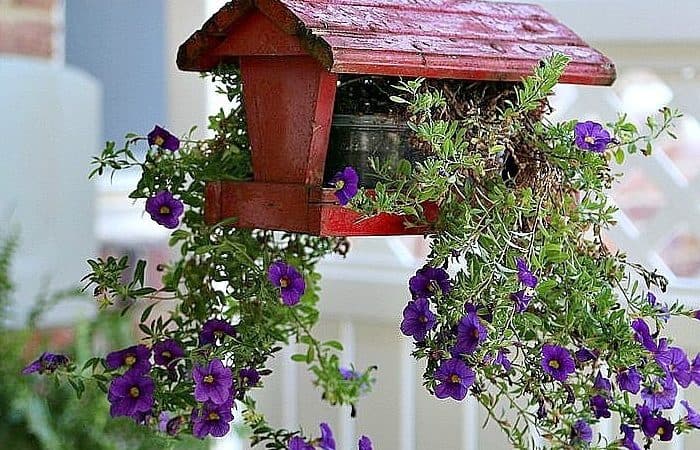 15 Unique Outdoor Plant Containers