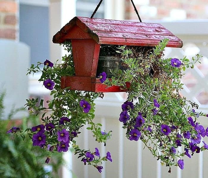 outdoor flower pots with flowers