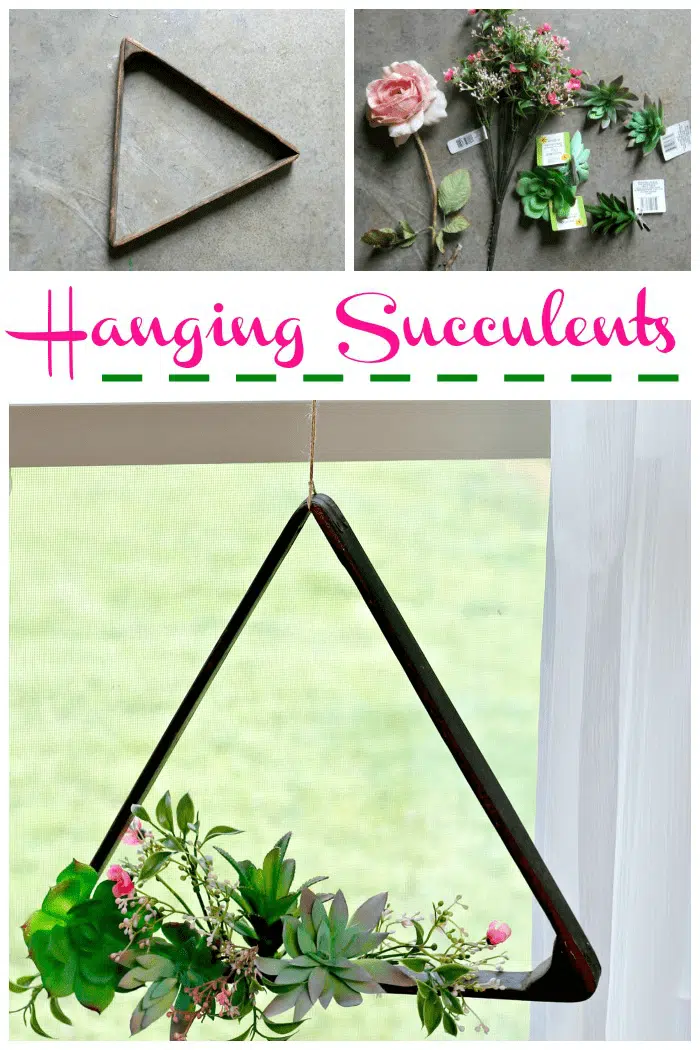 Hanging succulent plant decor idea