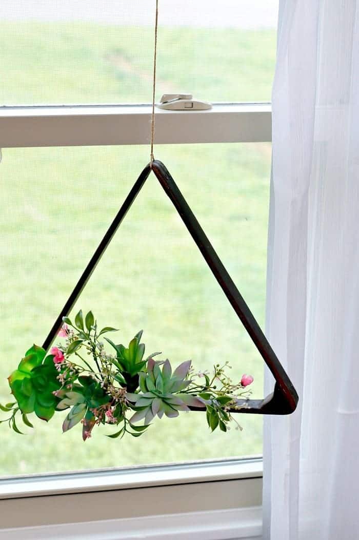 hanging indoor succulents