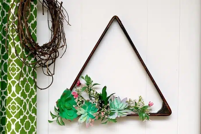 Succulent Plant Hanging Display Idea