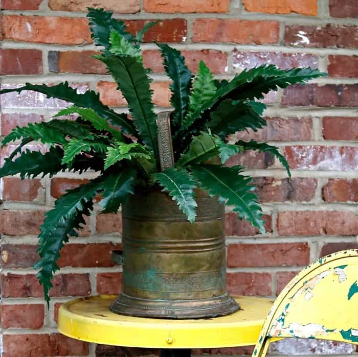 Use a Brass coal scuttle as a plant container