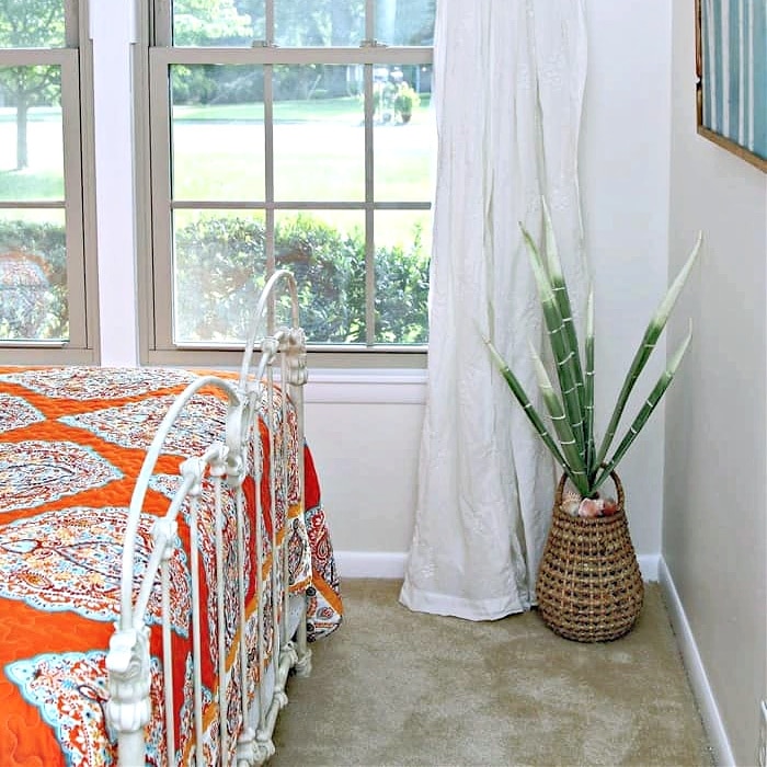 add plants to your room for warmth