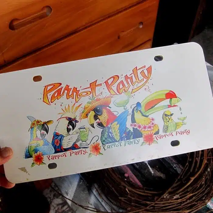 parrot party license plate