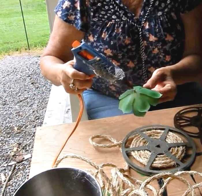 make succulent displays using hot glue and old movie reels