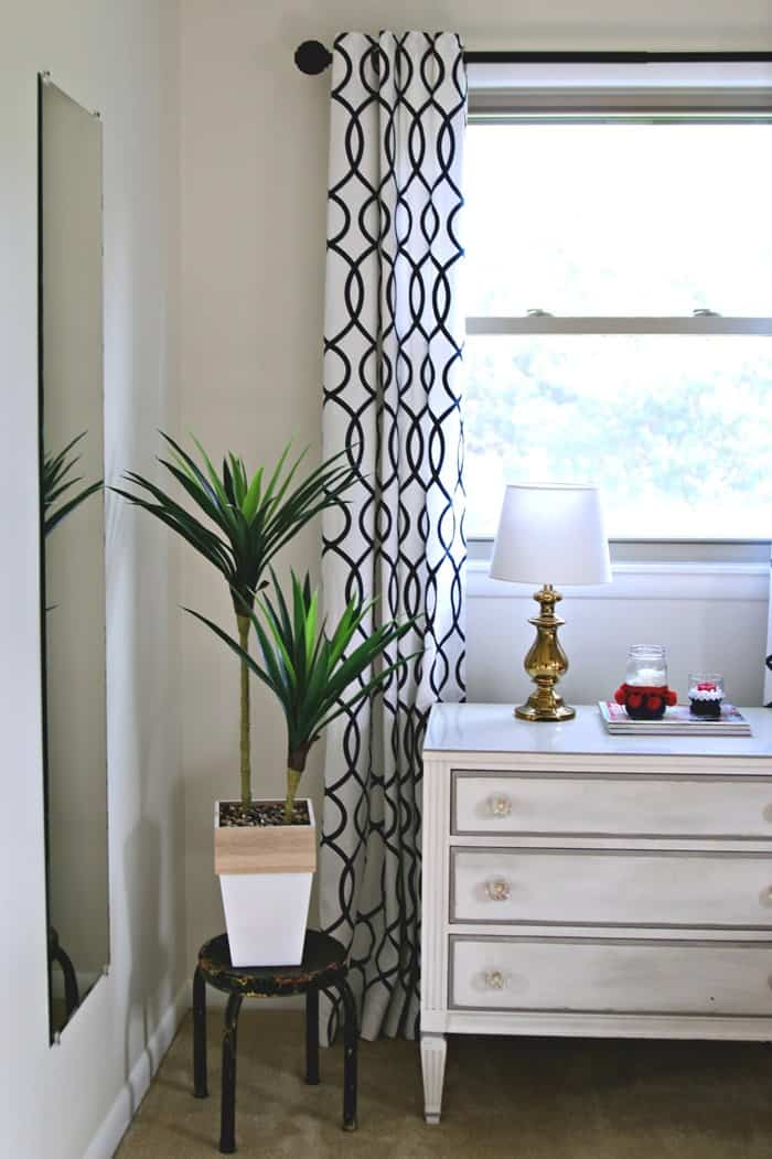 green plants add warmth to any room