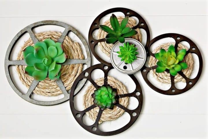 vintage metal movie reels and artificial succulents display