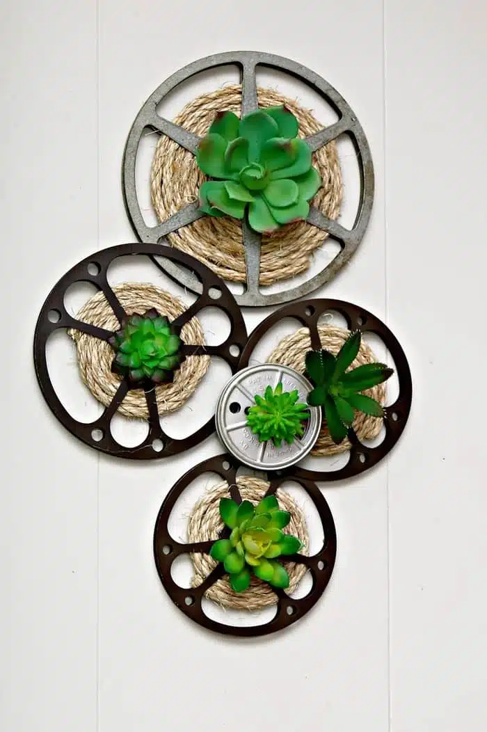 DIY Idea For Old Movie Reels | Succulent Plant Display