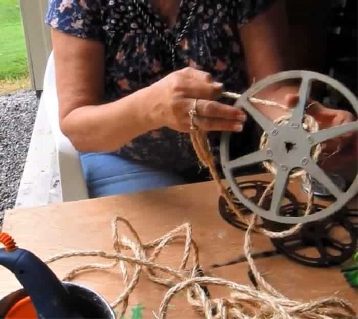 Diy Idea For Old Movie Reels Succulent Plant Display