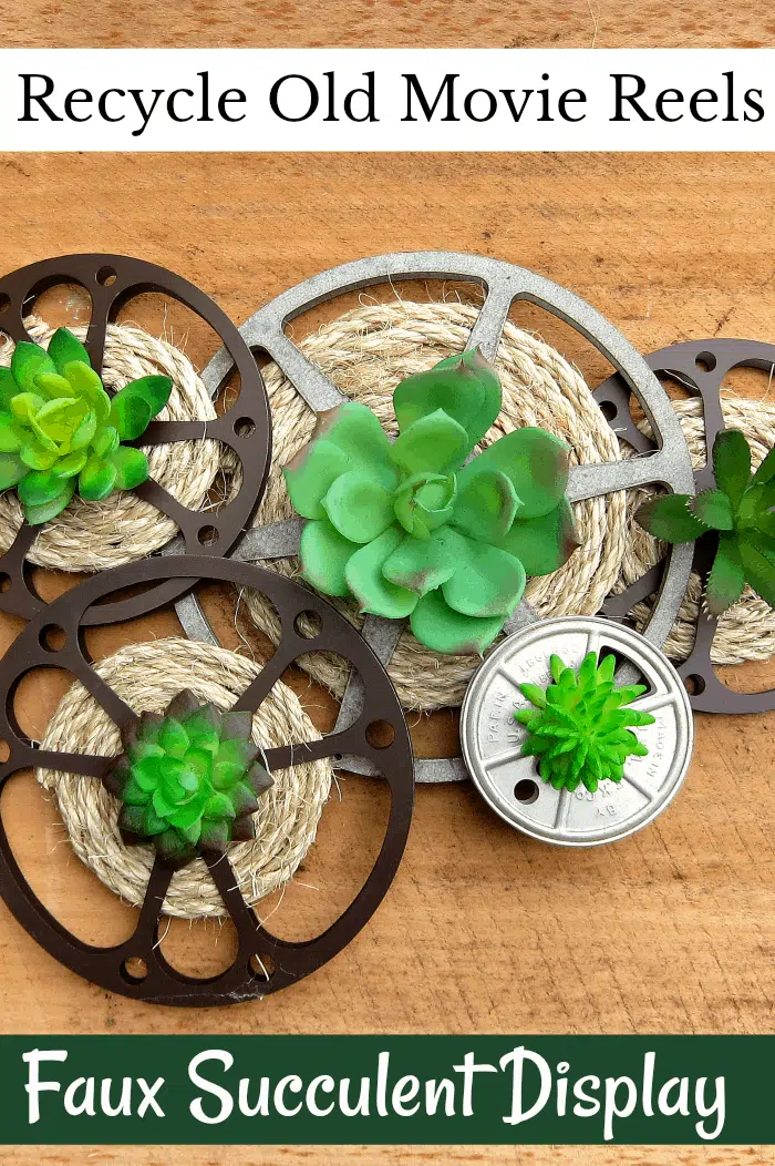 upcycle old movie reels into fun plant displays