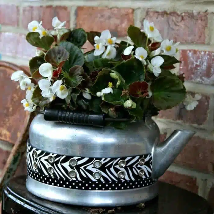 Use an old kettle as a flower planter for Spring