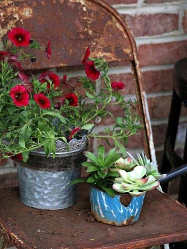 MY DIY RECYCLED FLOWER POT IDEAS STORY - Petticoat Junktion