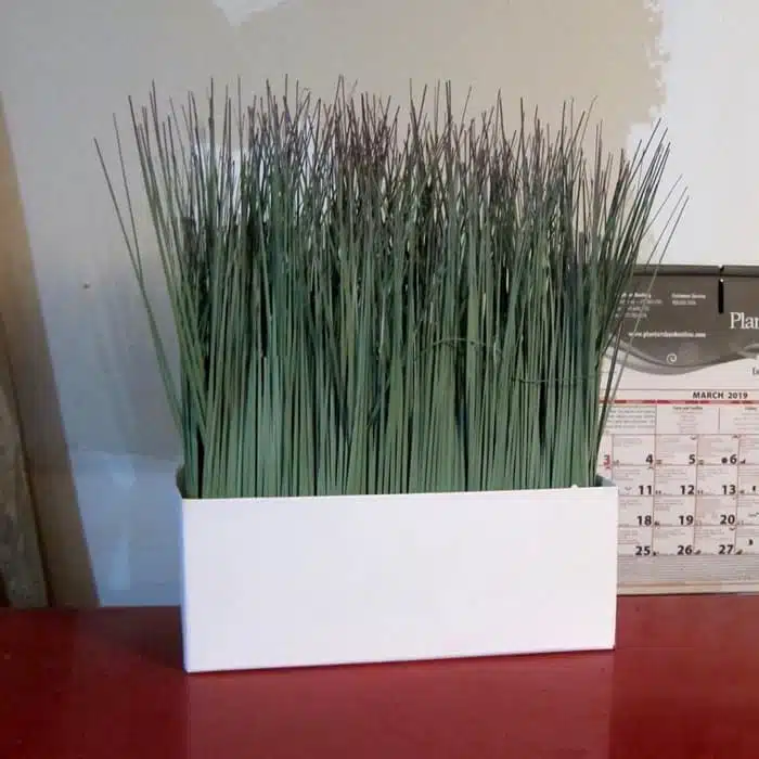 faux grass in a plain white box