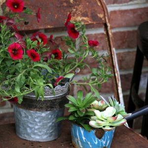DIY Tea Kettle Flower Pots
