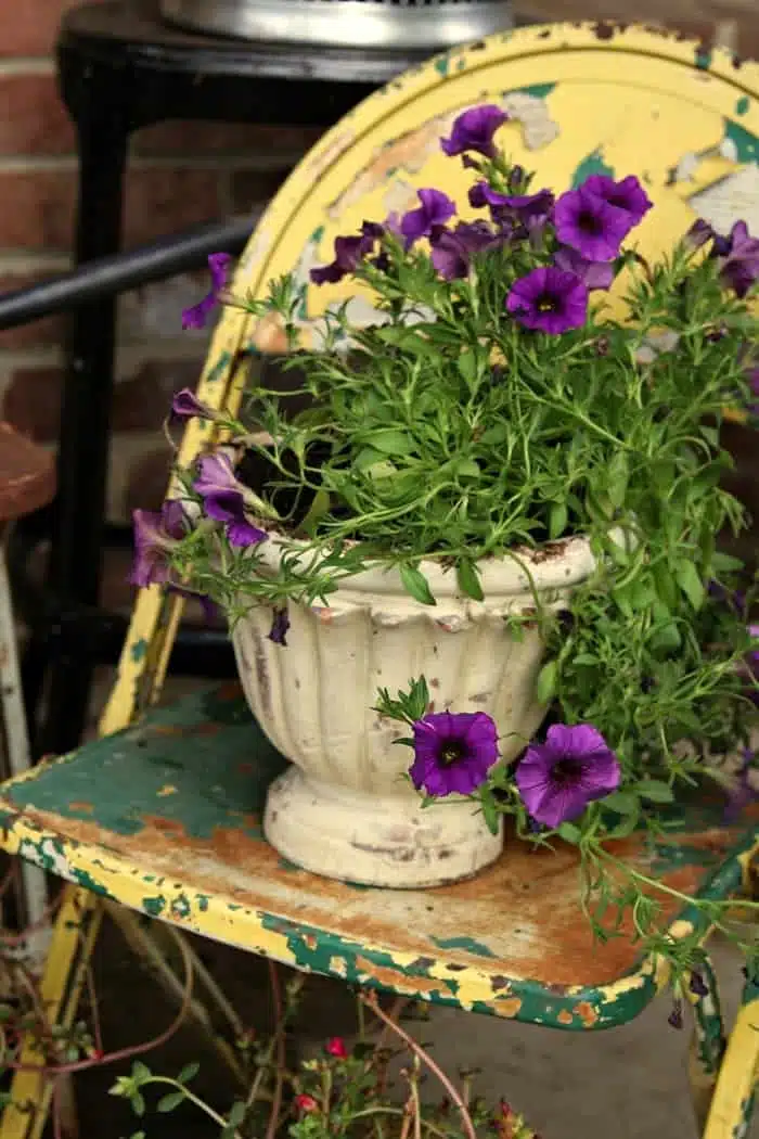 rusty chairs and pots make great porch flower planters