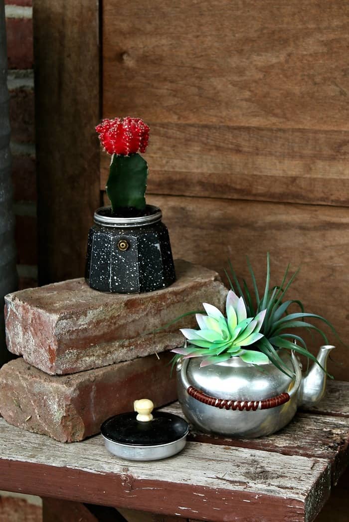 succulent plants in thrift store teapots for plant containers