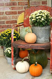 Buckets of Mums And Plenty of Pumpkins for Fall decorating