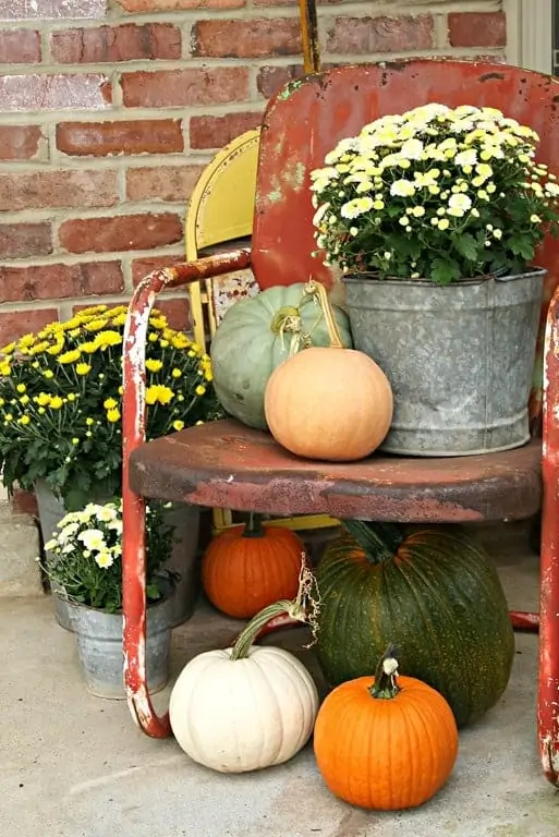 Decorating With Buckets Of Mums And Plenty Of Pumpkins