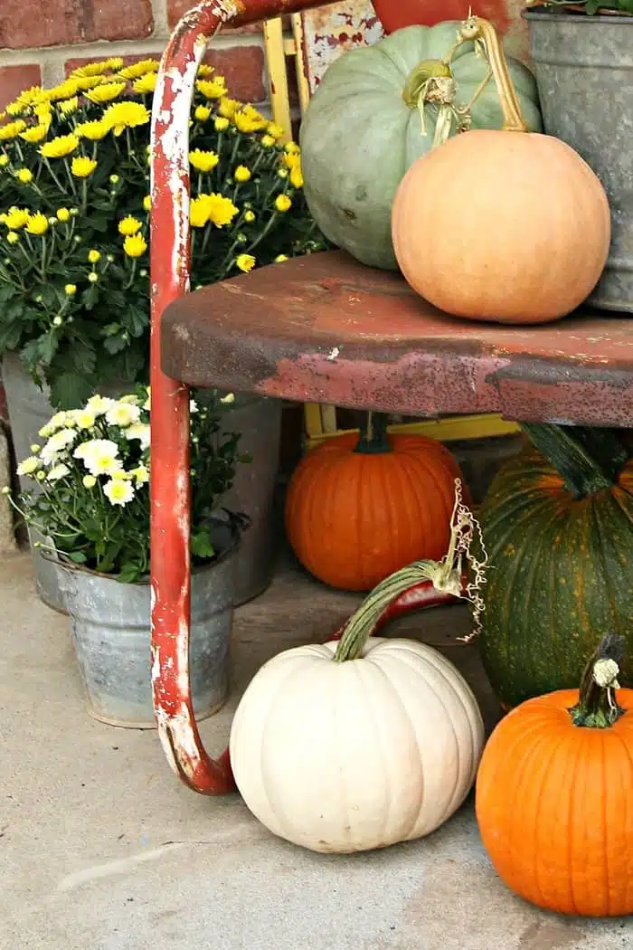 use all colors of pumpkins to decorate for Fall