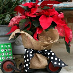 Time To Decorate The Porch For Christmas