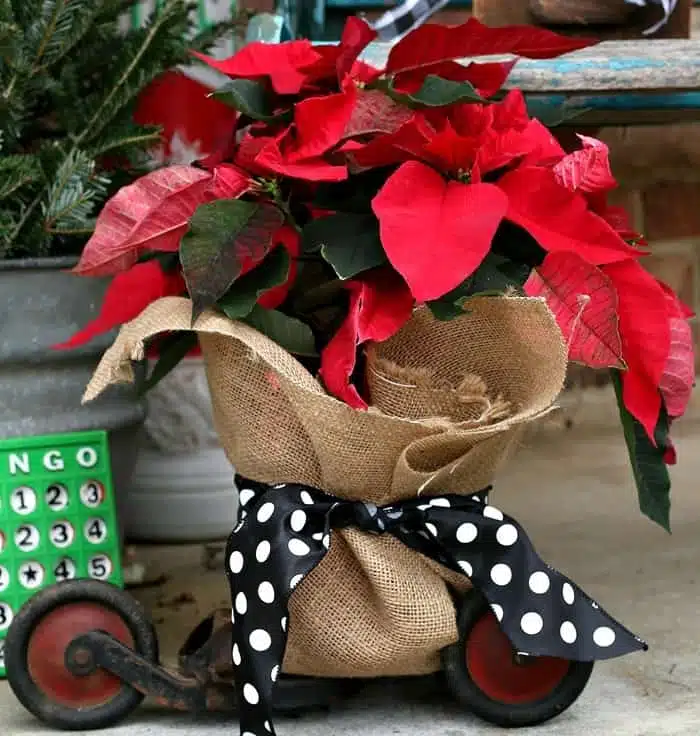 Red Poinsettia Porch Decorations With Buffalo Check Accents