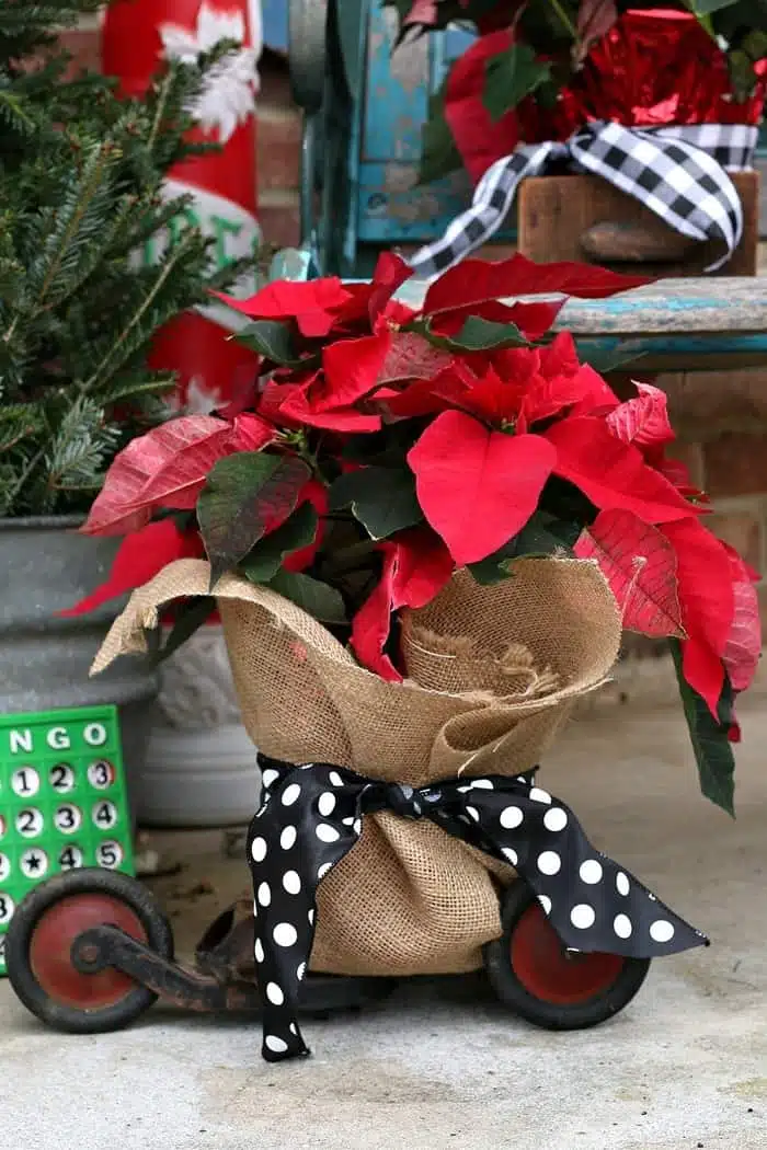 vintage skates make great home decor