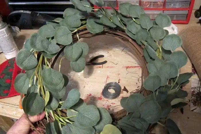 make a budget Eucalypus wreath