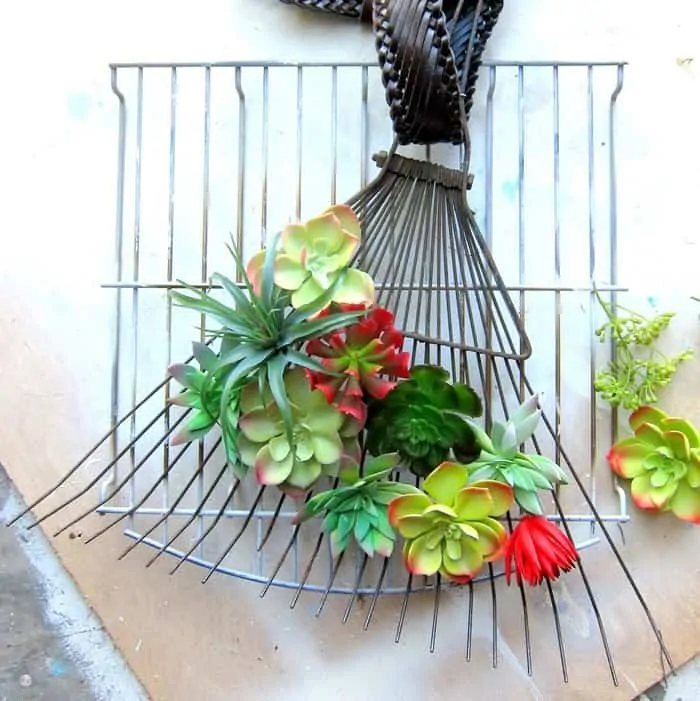 succulent plant rake wreath project