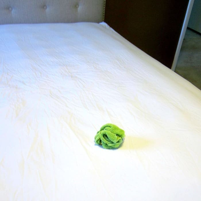 putting a sheet on the bed
