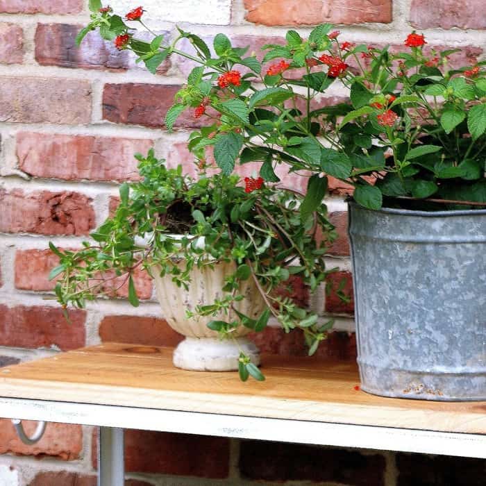 Plant stand made from an aquarium stand and reclaimed wood