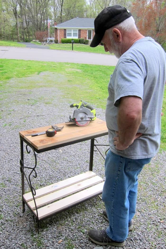 Ray looking over the fish tank plant stand