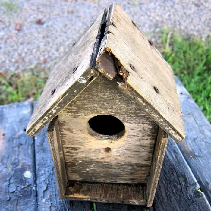 old weathered birdhouse