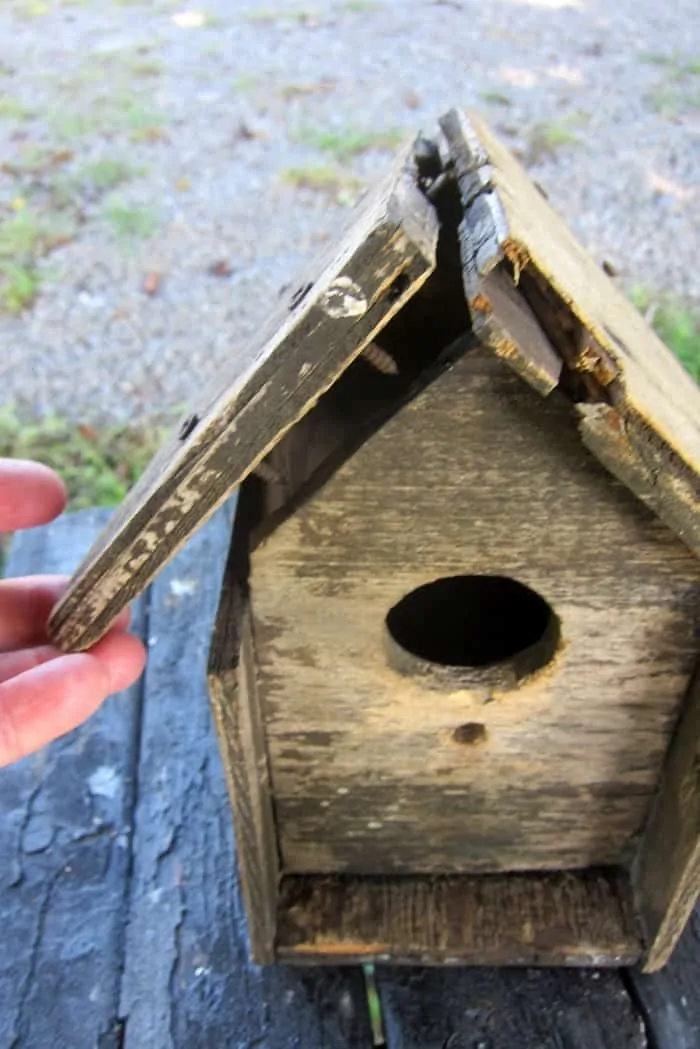 old wood birdhouse