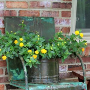 how to decorate the porch with Summer flowers in unique flower containers