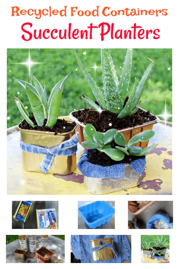 how to make succulent plant containers or pots using recycled cans or food containers