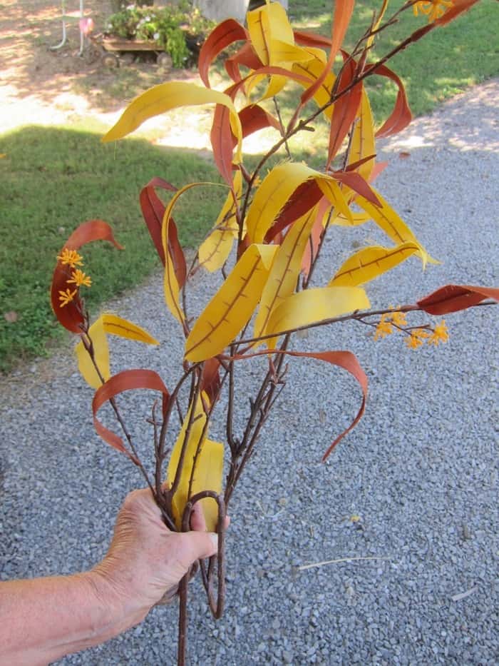 Fall flower stems