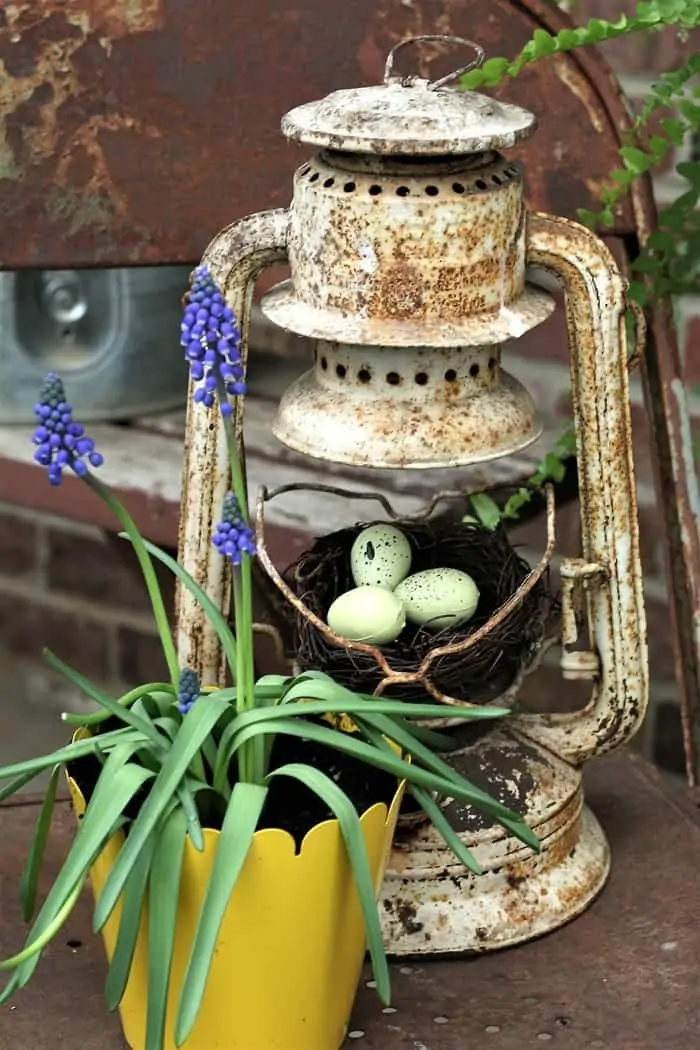 Rusty Lantern Bird Nest DIY Decor Display