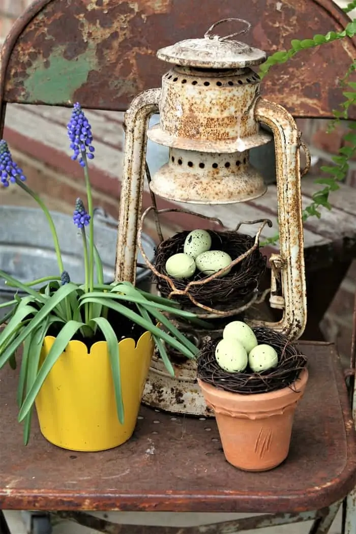 display a faux bird nest and eggs in an old rusty lantern