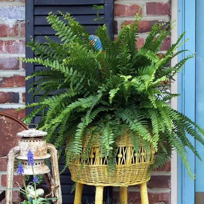 Fun Porch Decor Featuring Junk Finds And The Color Yellow