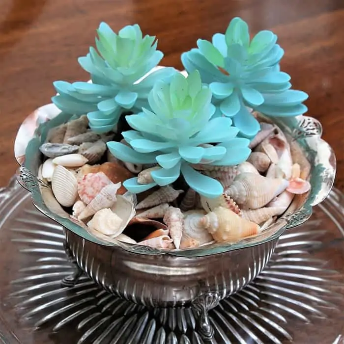 Silver Plate Succulent Planter Idea With Seashells