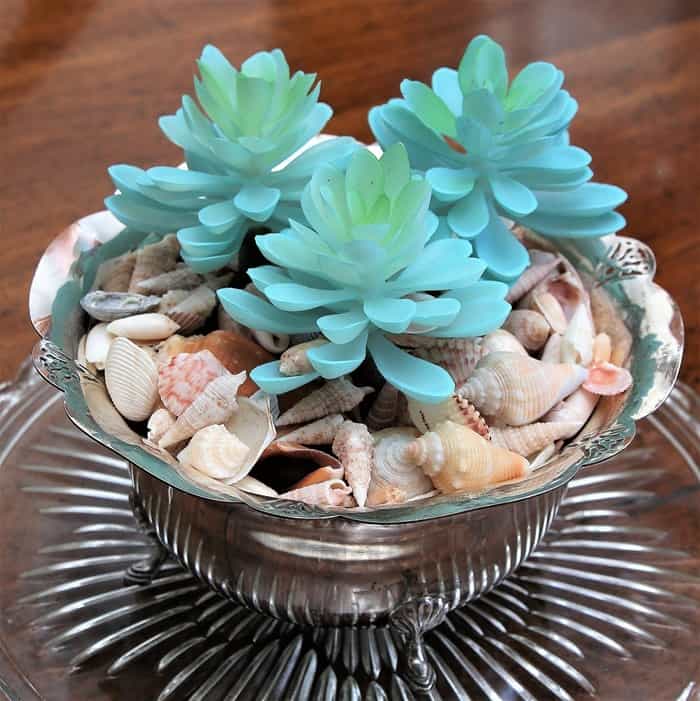Silver Plate Succulent Planter Idea