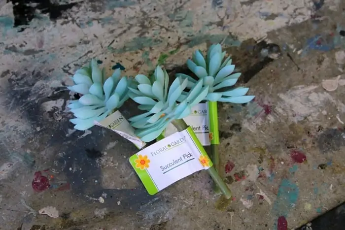 faux succulent plants from Dollar Tree
