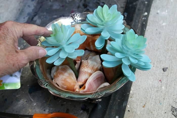 how to put a succulent plant container together with seashells