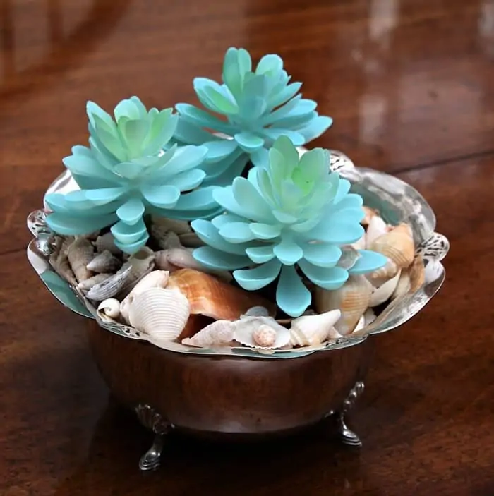silver plate succulent plant container