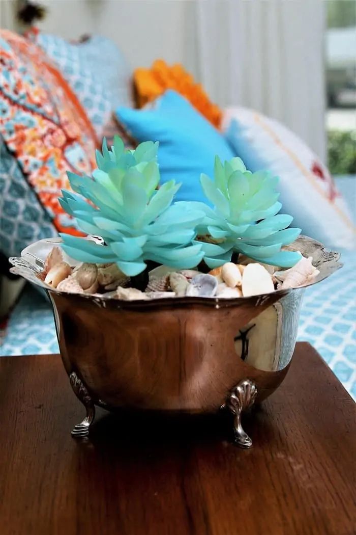 Silver Plate Succulent Planter Idea With Seashells - Petticoat