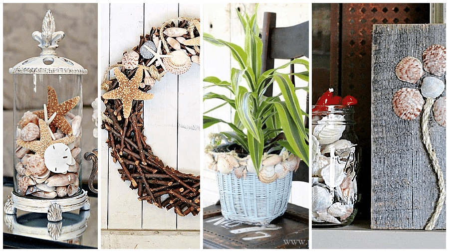 Decorating with Seashells: Creative DIY Ideas
