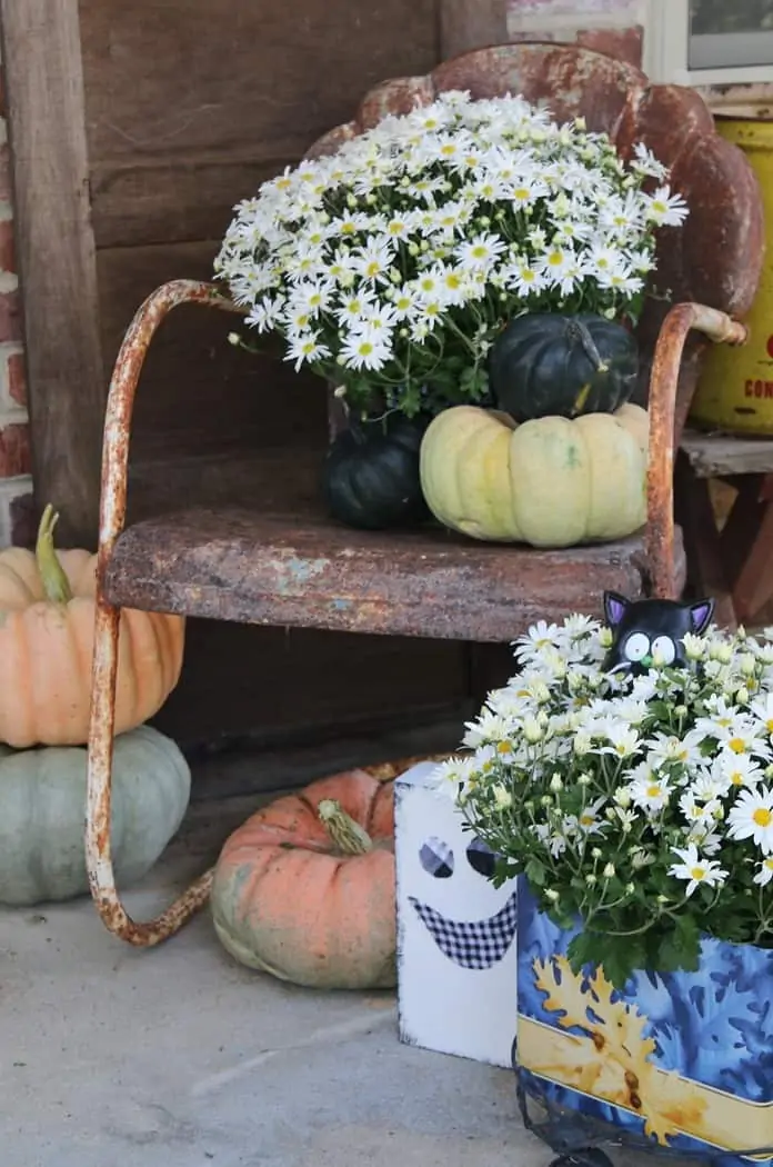 Porch Decorating With Mums, Pumpkins, And Rusty Chairs