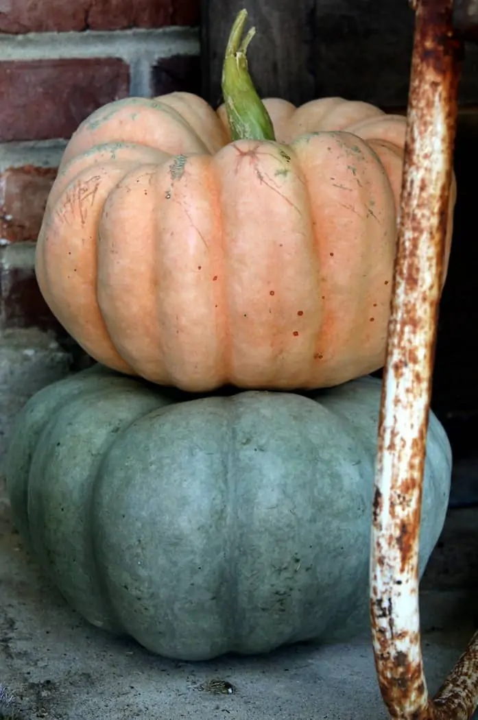 How To Decorate The Porch For Fall With Mums And Vintage Finds (16)